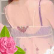 ヒメ日記 2025/09/06 12:24 投稿 藤乃 ピュアグレイス