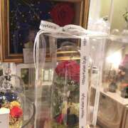 ヒメ日記 2025/09/25 10:24 投稿 藤乃 ピュアグレイス