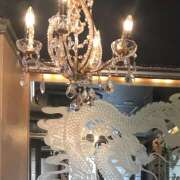 ヒメ日記 2025/10/17 21:58 投稿 藤乃 ピュアグレイス