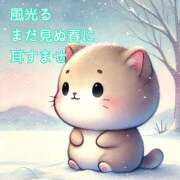 ヒメ日記 2025/02/21 10:40 投稿 絵里子 ピュアグレイス