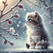 ヒメ日記 2025/02/28 10:56 投稿 絵里子 ピュアグレイス