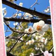 ヒメ日記 2025/03/07 10:36 投稿 絵里子 ピュアグレイス