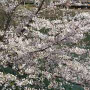 ヒメ日記 2026/03/31 21:36 投稿 武田(たけだ) ロケットワイフ