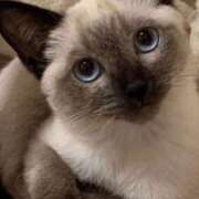 ヒメ日記 2024/12/12 15:33 投稿 みう 千姫(道後)