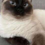 ヒメ日記 2024/12/13 15:16 投稿 みう 千姫(道後)