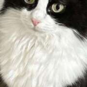 ヒメ日記 2024/12/18 21:08 投稿 みう 千姫(道後)