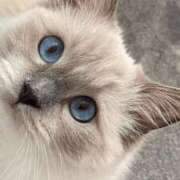 ヒメ日記 2024/12/28 23:53 投稿 みう 千姫(道後)