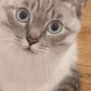 ヒメ日記 2025/01/05 22:30 投稿 みう 千姫(道後)