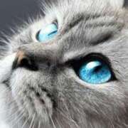 ヒメ日記 2025/01/07 21:32 投稿 みう 千姫(道後)