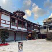 ヒメ日記 2025/01/08 00:06 投稿 みう 千姫(道後)