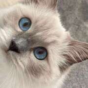 ヒメ日記 2025/01/11 14:26 投稿 みう 千姫(道後)