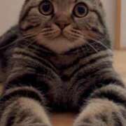 ヒメ日記 2025/01/12 23:16 投稿 みう 千姫(道後)