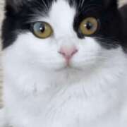 ヒメ日記 2025/01/21 22:06 投稿 みう 千姫(道後)