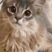 ヒメ日記 2025/02/19 22:54 投稿 みう 千姫(道後)