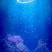 ヒメ日記 2025/02/19 23:50 投稿 みう 千姫(道後)