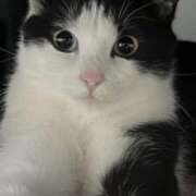 ヒメ日記 2025/02/25 22:44 投稿 みう 千姫(道後)