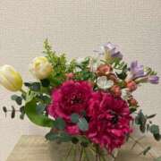 ヒメ日記 2025/02/26 23:30 投稿 みう 千姫(道後)