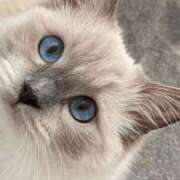 ヒメ日記 2025/03/12 16:04 投稿 みう 千姫(道後)