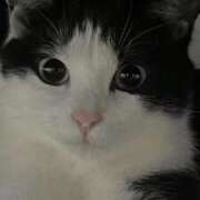 ヒメ日記 2025/03/13 14:12 投稿 みう 千姫(道後)