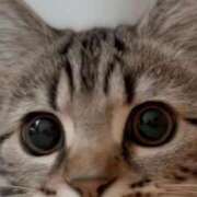 ヒメ日記 2025/03/19 20:16 投稿 みう 千姫(道後)