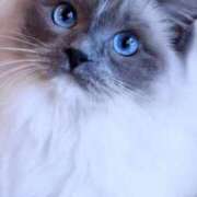 ヒメ日記 2025/03/20 14:54 投稿 みう 千姫(道後)