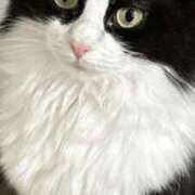 ヒメ日記 2025/04/01 20:39 投稿 みう 千姫(道後)