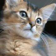 ヒメ日記 2025/04/04 16:58 投稿 みう 千姫(道後)