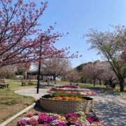 ヒメ日記 2025/04/11 17:02 投稿 みう 千姫(道後)