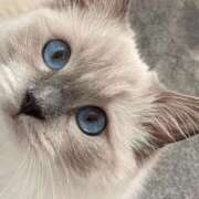 ヒメ日記 2025/04/12 16:30 投稿 みう 千姫(道後)