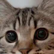 ヒメ日記 2025/04/13 14:06 投稿 みう 千姫(道後)