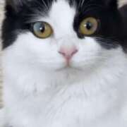 ヒメ日記 2025/04/24 23:15 投稿 みう 千姫(道後)