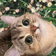 ヒメ日記 2025/05/04 14:08 投稿 みう 千姫(道後)