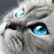 ヒメ日記 2025/05/10 16:19 投稿 みう 千姫(道後)