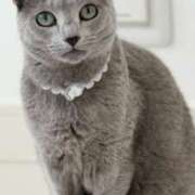 ヒメ日記 2025/05/13 13:07 投稿 みう 千姫(道後)