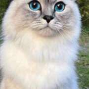 ヒメ日記 2025/05/20 15:43 投稿 みう 千姫(道後)