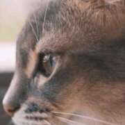 ヒメ日記 2025/05/24 22:25 投稿 みう 千姫(道後)