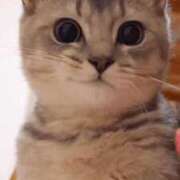 ヒメ日記 2025/05/27 22:05 投稿 みう 千姫(道後)