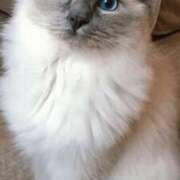 ヒメ日記 2025/05/28 23:43 投稿 みう 千姫(道後)