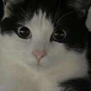 ヒメ日記 2025/06/01 14:55 投稿 みう 千姫(道後)