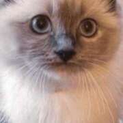 ヒメ日記 2025/06/03 16:40 投稿 みう 千姫(道後)