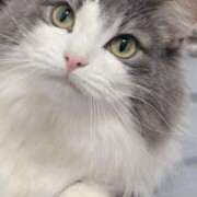 ヒメ日記 2025/06/04 21:26 投稿 みう 千姫(道後)