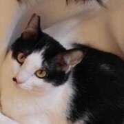 ヒメ日記 2025/06/12 23:57 投稿 みう 千姫(道後)