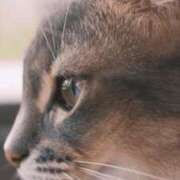 ヒメ日記 2025/06/18 22:28 投稿 みう 千姫(道後)