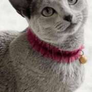 ヒメ日記 2025/06/19 14:50 投稿 みう 千姫(道後)