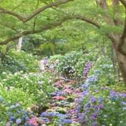 ヒメ日記 2025/06/24 00:07 投稿 みう 千姫(道後)