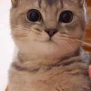 ヒメ日記 2025/06/26 22:27 投稿 みう 千姫(道後)