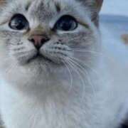 ヒメ日記 2025/07/03 14:17 投稿 みう 千姫(道後)