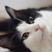 ヒメ日記 2025/07/05 22:28 投稿 みう 千姫(道後)