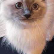 ヒメ日記 2025/07/06 15:52 投稿 みう 千姫(道後)