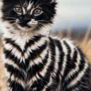 ヒメ日記 2025/07/11 21:42 投稿 みう 千姫(道後)